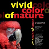 n.11 - Vivid Color of Nature
